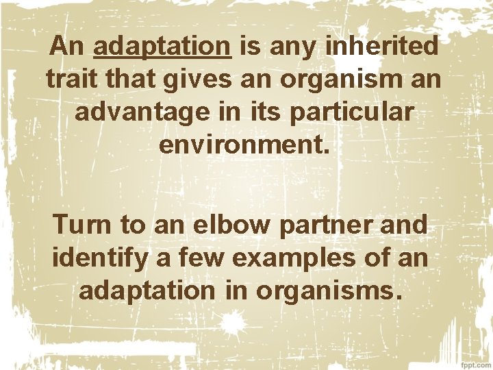An adaptation is any inherited trait that gives an organism an advantage in its