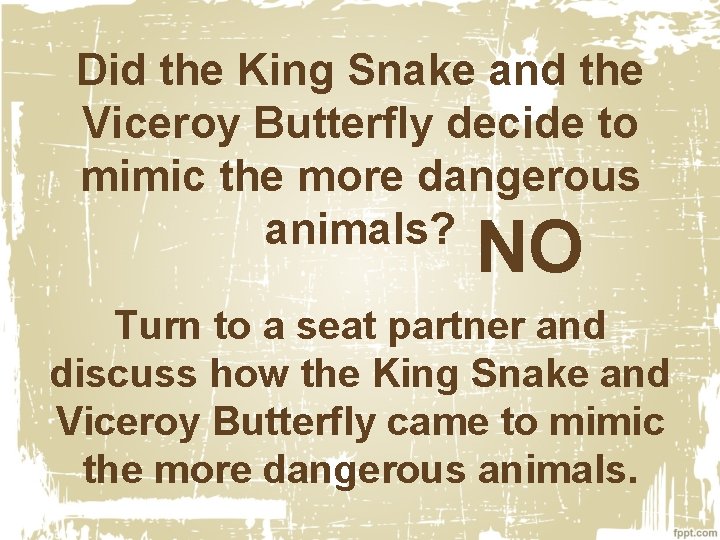 Did the King Snake and the Viceroy Butterfly decide to mimic the more dangerous