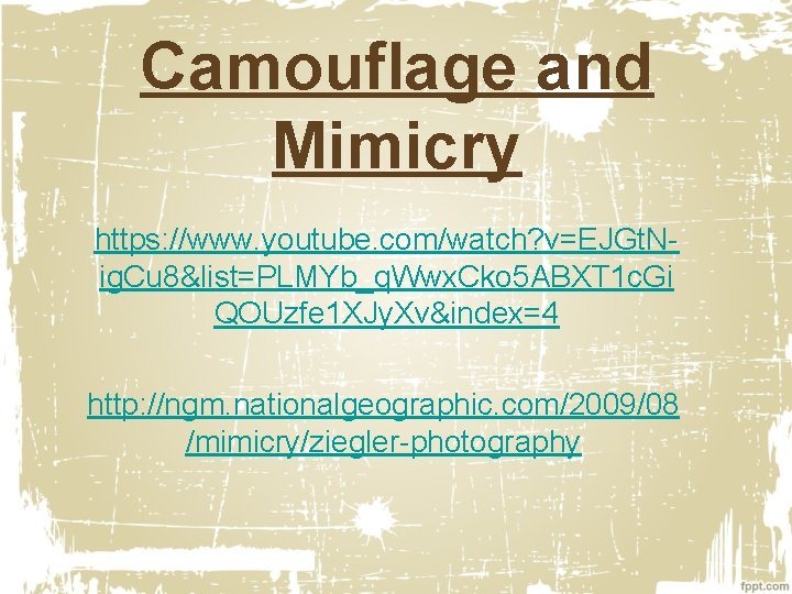 Camouflage and Mimicry https: //www. youtube. com/watch? v=EJGt. Nig. Cu 8&list=PLMYb_q. Wwx. Cko 5