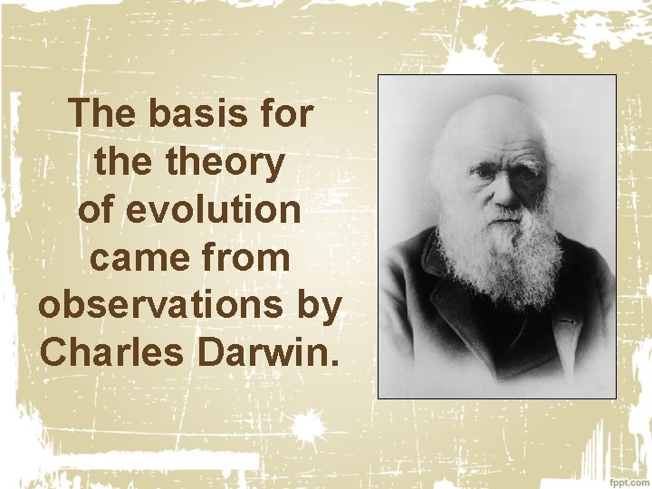 The basis for theory of evolution came from observations by Charles Darwin. 