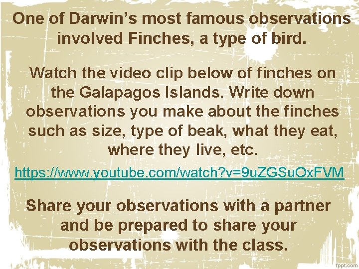 One of Darwin’s most famous observations involved Finches, a type of bird. Watch the