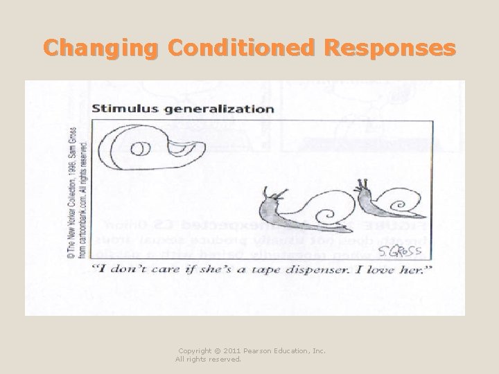 Changing Conditioned Responses n Generalization ◦ Tendency to make a CR to a stimulus Changing Conditioned Responses n Generalization ◦ Tendency to make a CR to a stimulus