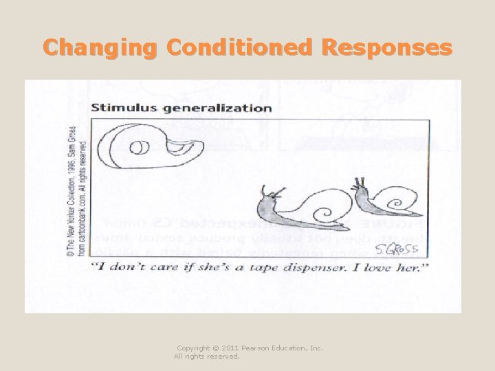 Changing Conditioned Responses n Generalization ◦ Tendency to make a CR to a stimulus