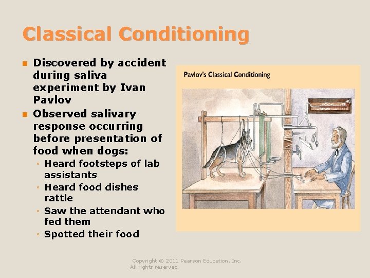 Classical Conditioning Discovered by accident during saliva experiment by Ivan Pavlov n Observed salivary