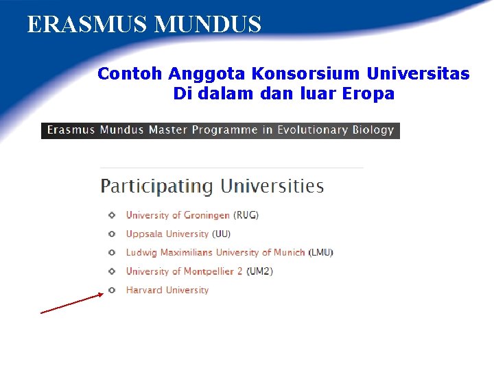 ERASMUS MUNDUS Contoh Anggota Konsorsium Universitas Di dalam dan luar Eropa 