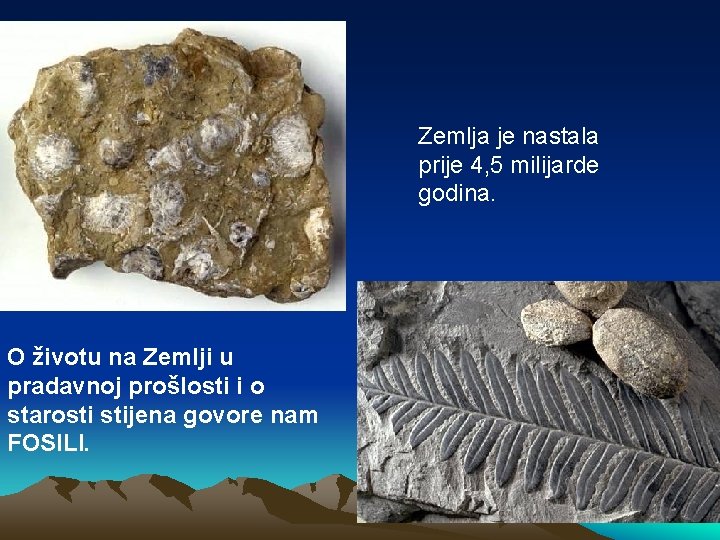 Zemlja je nastala prije 4, 5 milijarde godina. O životu na Zemlji u pradavnoj