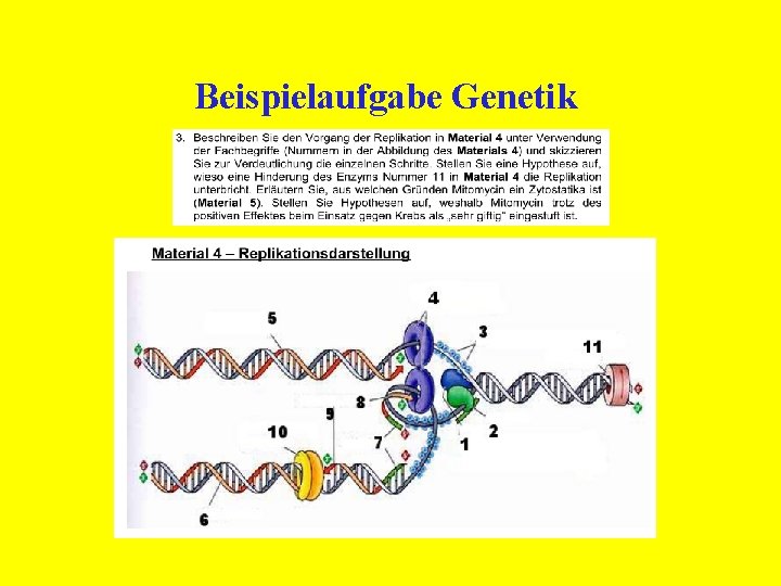 Biologie Abituraufgaben Mit Lösungen Pdf Genetik slidetodoc.com