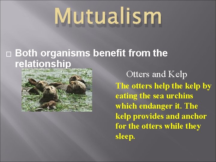 Mutualism � Both organisms benefit from the relationship Otters and Kelp The otters help
