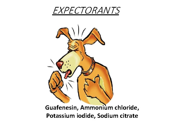 EXPECTORANTS Guafenesin, Ammonium chloride, Potassium iodide, Sodium citrate 