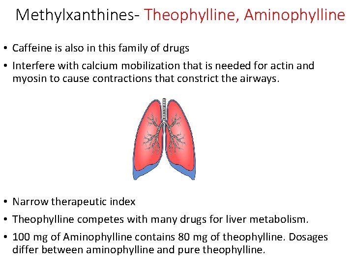 Methylxanthines- Theophylline, Aminophylline • Caffeine is also in this family of drugs • Interfere