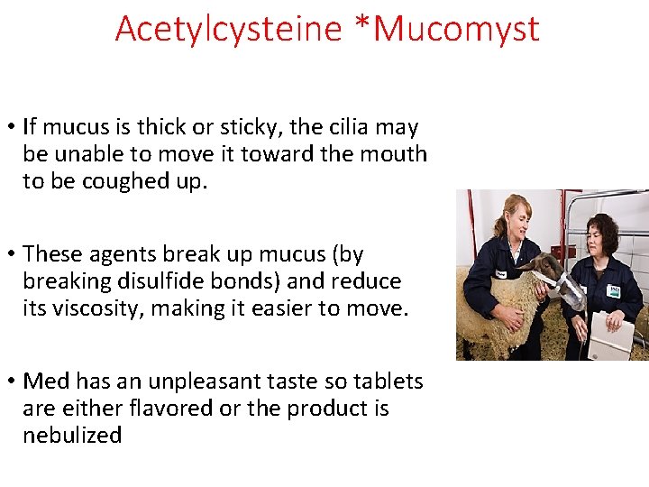 Acetylcysteine *Mucomyst • If mucus is thick or sticky, the cilia may be unable