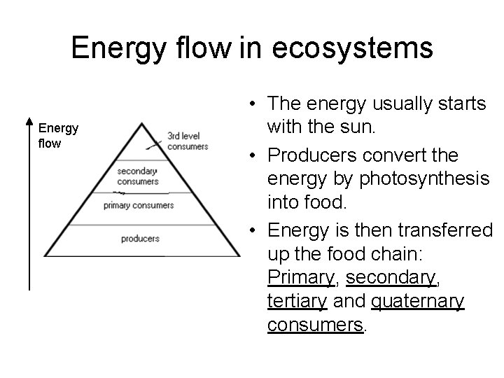 Energy flow in ecosystems Energy flow • The energy usually starts with the sun.