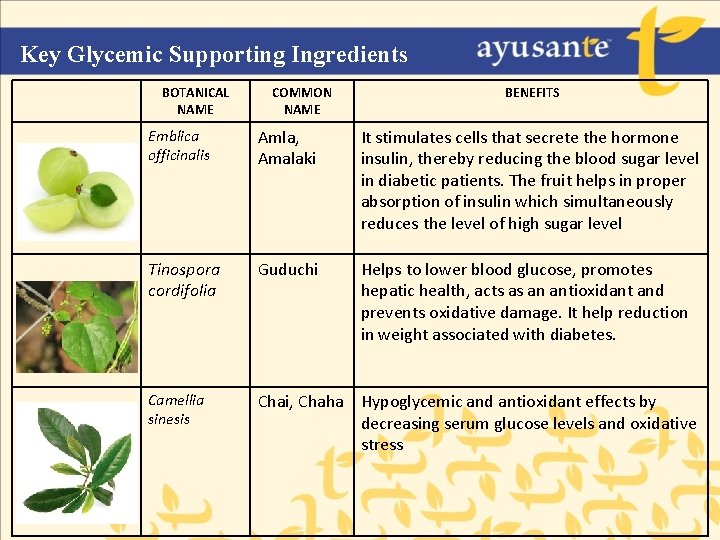 Key Glycemic Supporting Ingredients BOTANICAL NAME COMMON NAME BENEFITS Emblica officinalis Amla, Amalaki It