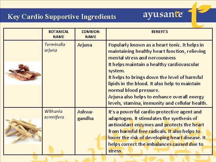 Key Cardio Supportive Ingredients BOTANICAL NAME COMMON NAME BENEFITS Terminalia arjuna Arjuna Popularly known