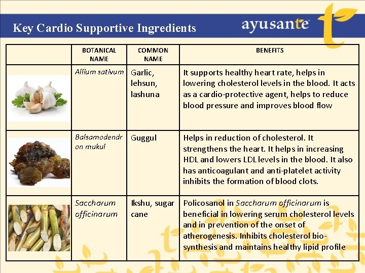 Key Cardio Supportive Ingredients BOTANICAL NAME COMMON NAME BENEFITS Allium sativum Garlic, It supports