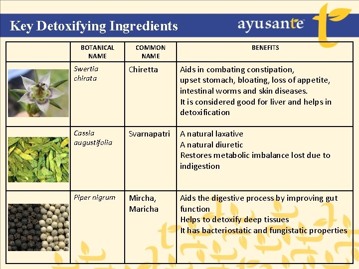 Key Detoxifying Ingredients BOTANICAL NAME COMMON NAME BENEFITS Swertia chirata Chiretta Aids in combating