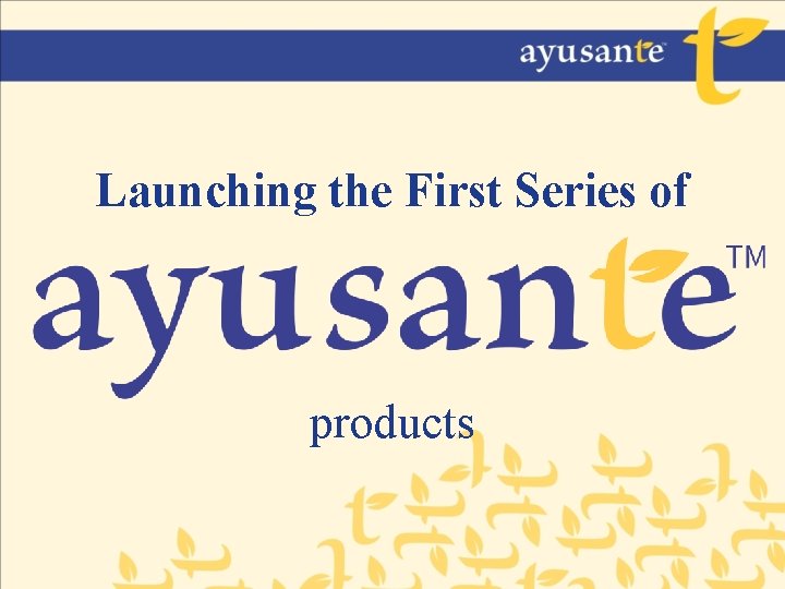 Launching the First Series of products 