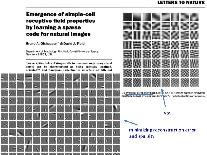 PCA minimizing reconstruction error and sparsity 