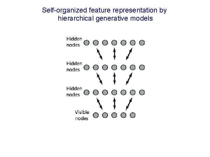 Self-organized feature representation by hierarchical generative models 