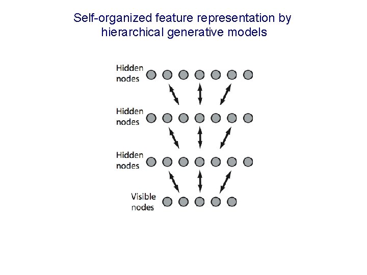 Self-organized feature representation by hierarchical generative models 