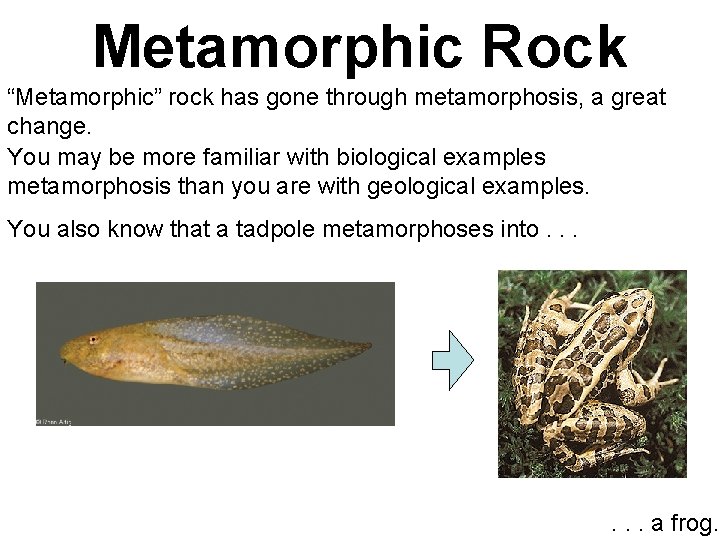 Metamorphic Rock “Metamorphic” rock has gone through metamorphosis, a great change. You may be