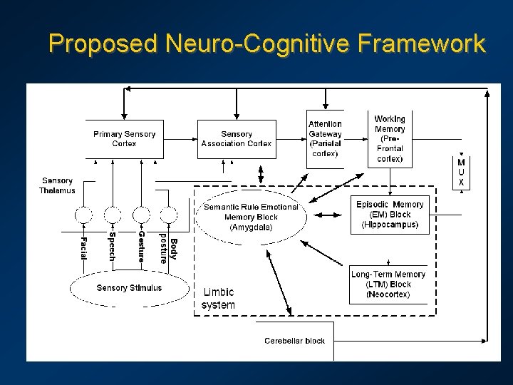 Proposed Neuro-Cognitive Framework 
