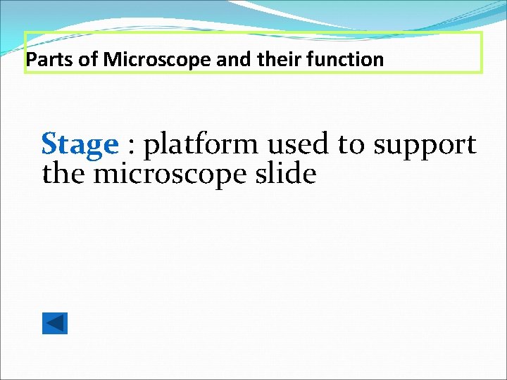 Parts of Microscope and their function Stage : platform used to support the microscope