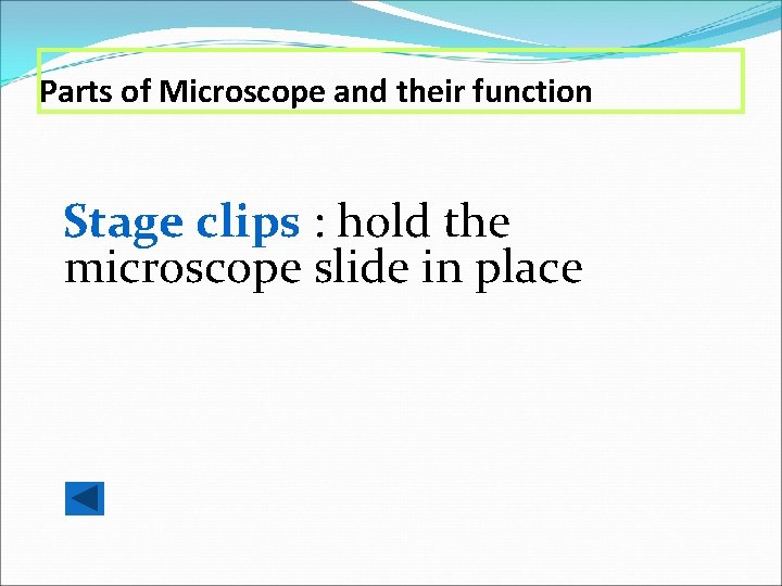 Parts of Microscope and their function Stage clips : hold the microscope slide in