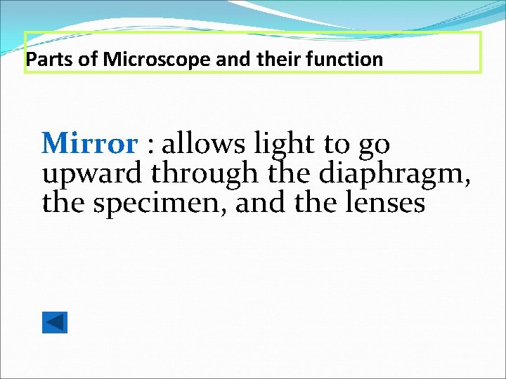 Parts of Microscope and their function Mirror : allows light to go upward through