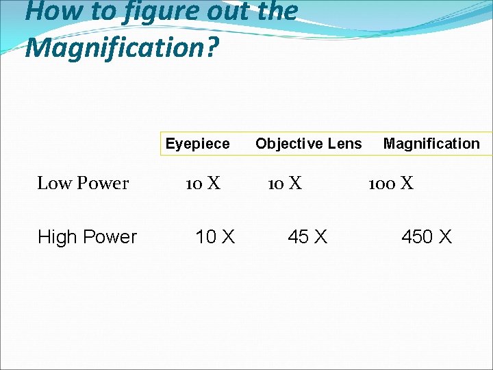 How to figure out the Magnification? Eyepiece Low Power High Power 10 X Objective