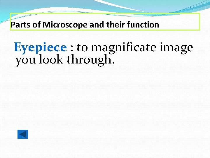 Parts of Microscope and their function Eyepiece : to magnificate image you look through.