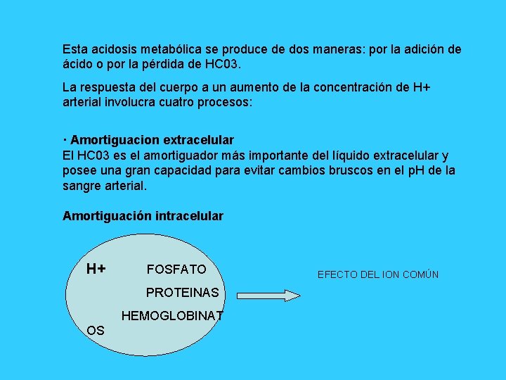 Esta acidosis metabólica se produce de dos maneras: por la adición de ácido o