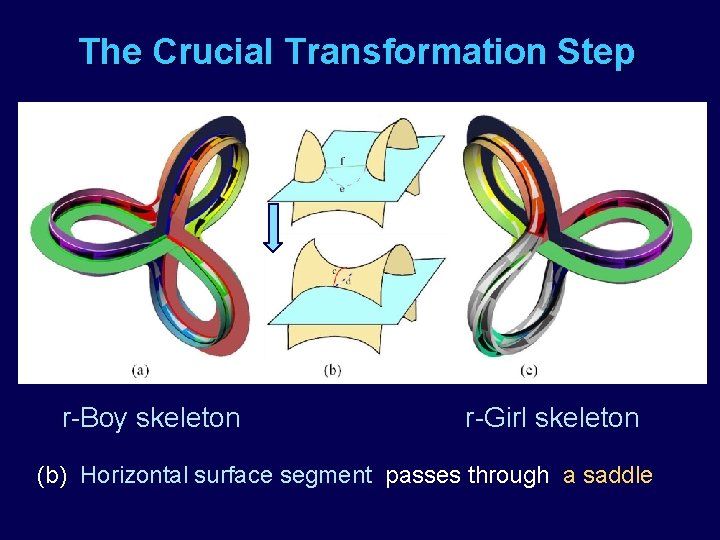 The Crucial Transformation Step r-Boy skeleton r-Girl skeleton (b) Horizontal surface segment passes through