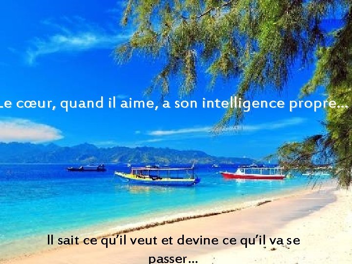 Le cœur, quand il aime, a son intelligence propre… Il sait ce qu’il veut