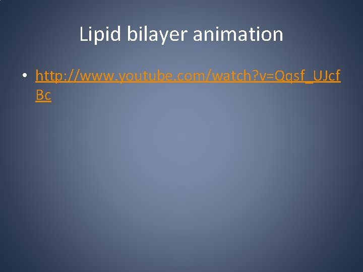 Lipid bilayer animation • http: //www. youtube. com/watch? v=Qqsf_UJcf Bc 