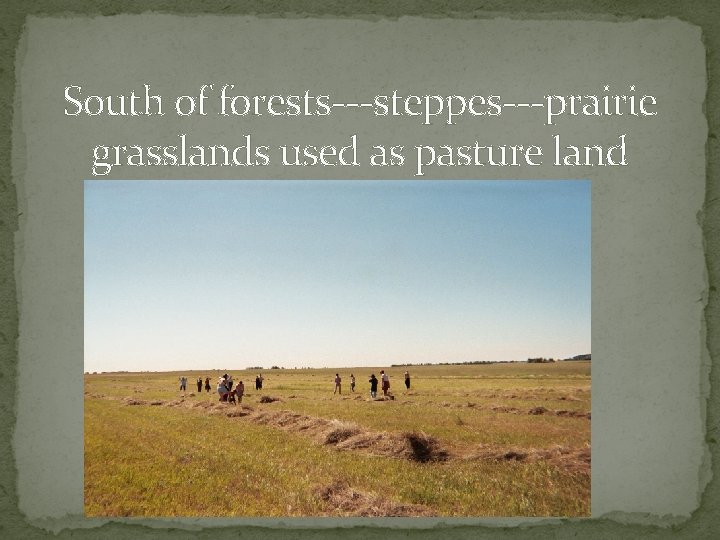 South of forests---steppes---prairie grasslands used as pasture land 