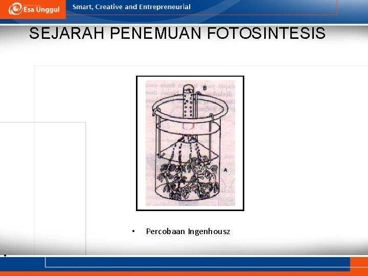 SEJARAH PENEMUAN FOTOSINTESIS • • Percobaan Ingenhousz 