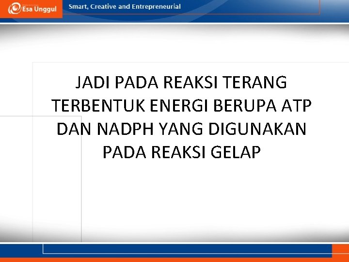 JADI PADA REAKSI TERANG TERBENTUK ENERGI BERUPA ATP DAN NADPH YANG DIGUNAKAN PADA REAKSI