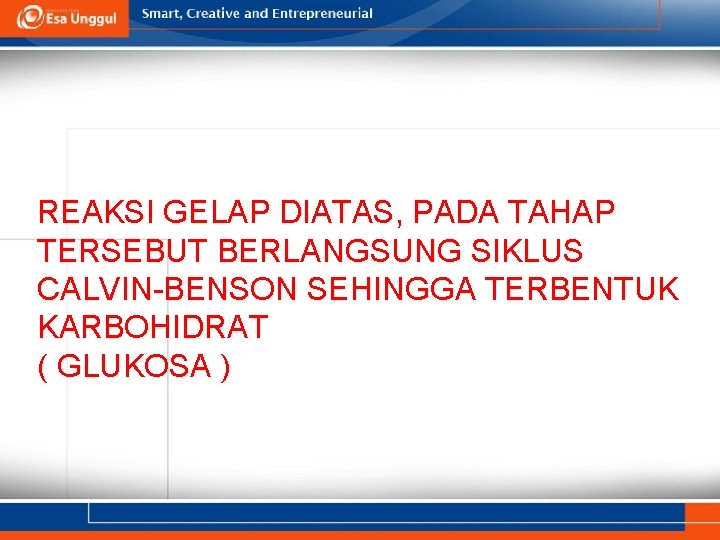 REAKSI GELAP DIATAS, PADA TAHAP TERSEBUT BERLANGSUNG SIKLUS CALVIN-BENSON SEHINGGA TERBENTUK KARBOHIDRAT ( GLUKOSA