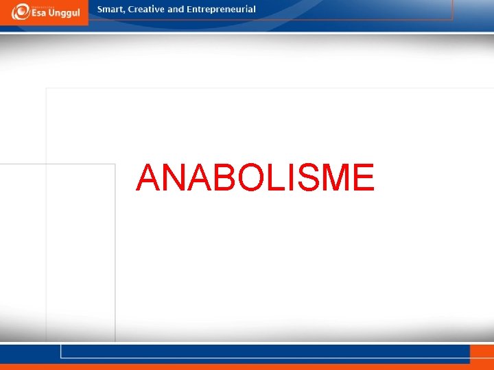 ANABOLISME 