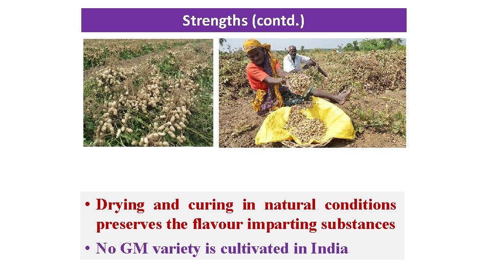 Strengths (contd. ) • Drying and curing in natural conditions preserves the flavour imparting