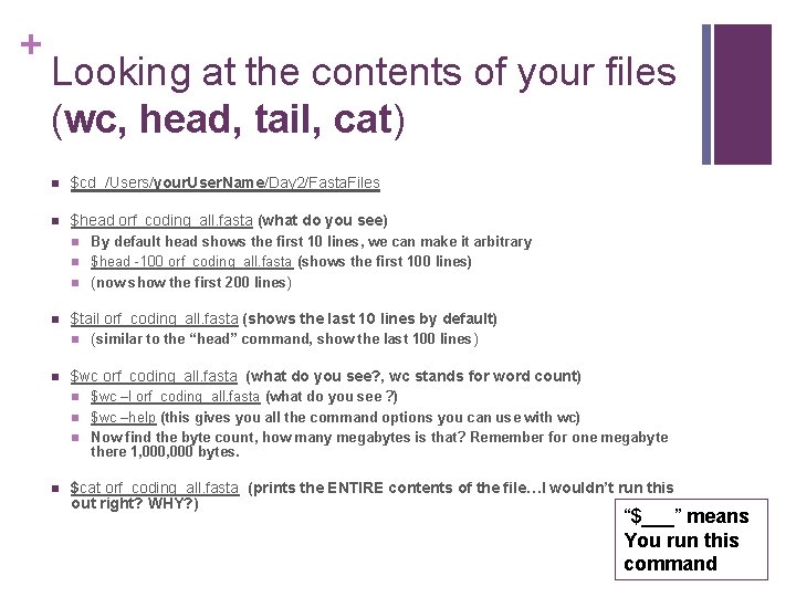 + Looking at the contents of your files (wc, head, tail, cat) n $cd + Looking at the contents of your files (wc, head, tail, cat) n $cd