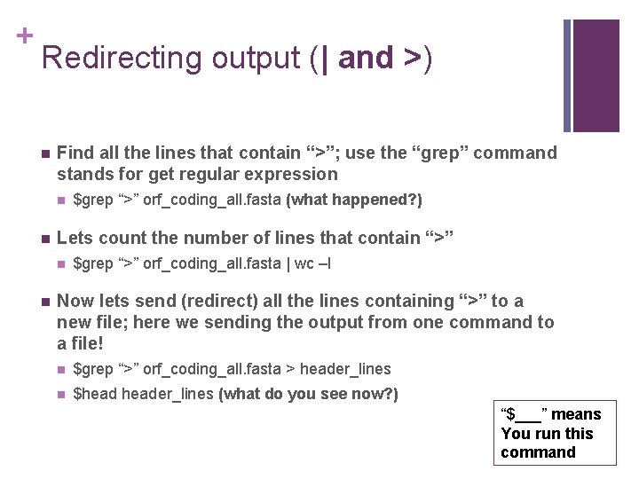 + Redirecting output (| and >) n Find all the lines that contain “>”; + Redirecting output (| and >) n Find all the lines that contain “>”;
