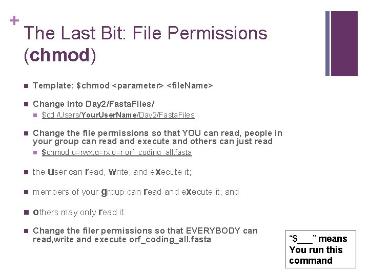 + The Last Bit: File Permissions (chmod) n Template: $chmod <parameter> <file. Name> n + The Last Bit: File Permissions (chmod) n Template: $chmod <parameter> <file. Name> n