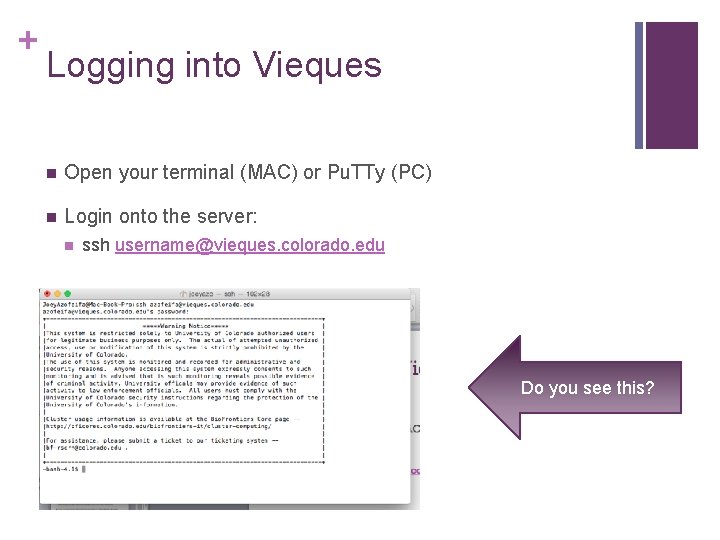 + Logging into Vieques n Open your terminal (MAC) or Pu. TTy (PC) n + Logging into Vieques n Open your terminal (MAC) or Pu. TTy (PC) n