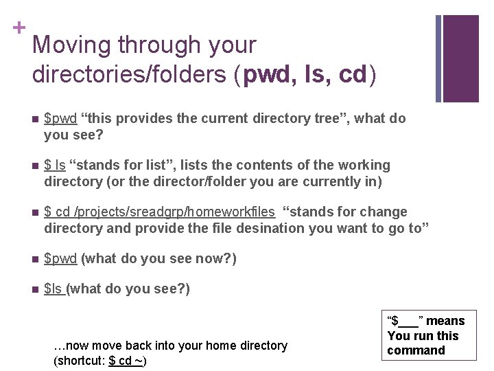 + Moving through your directories/folders (pwd, ls, cd) n $pwd “this provides the current + Moving through your directories/folders (pwd, ls, cd) n $pwd “this provides the current