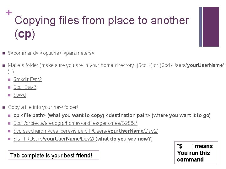 + Copying files from place to another (cp) n $<command> <options> <parameters> n Make + Copying files from place to another (cp) n $<command> <options> <parameters> n Make