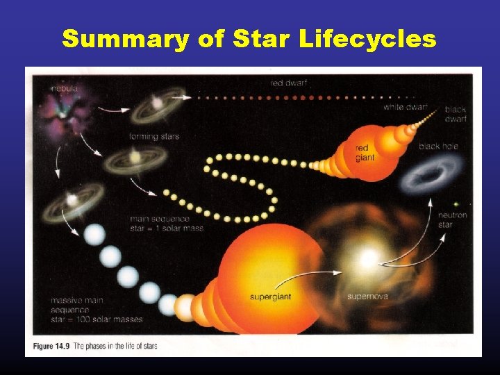 Summary of Star Lifecycles 