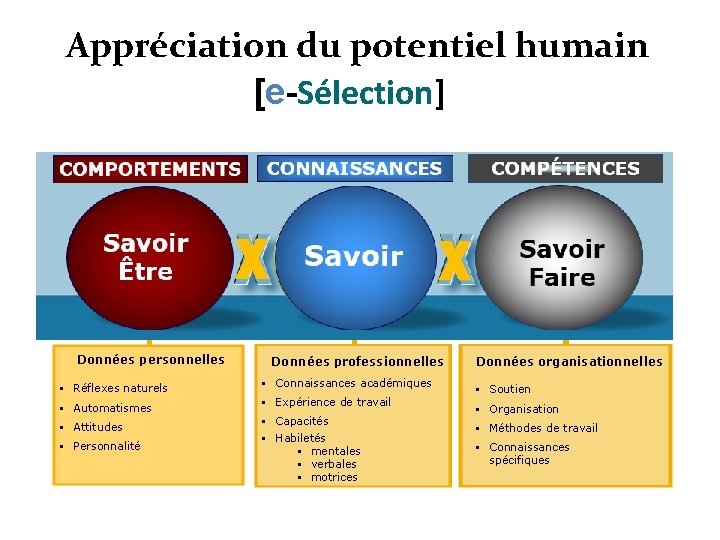 Appréciation du potentiel humain [e-Sélection] Données personnelles Données professionnelles § Réflexes naturels § Connaissances