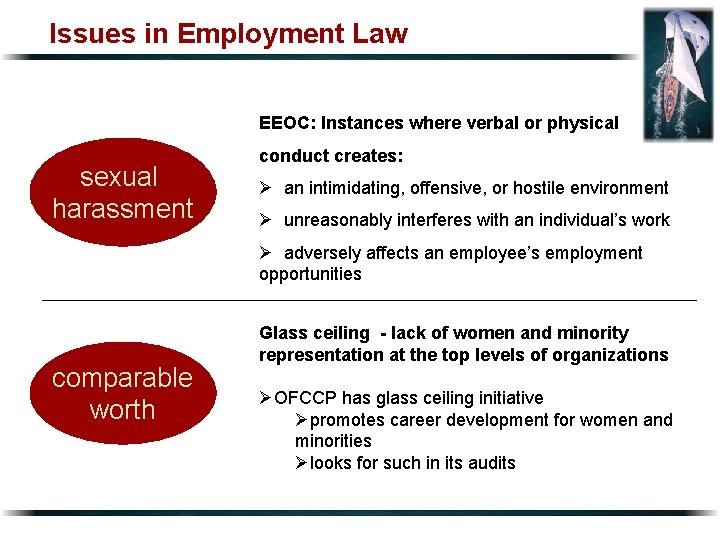 Issues in Employment Law EEOC: Instances where verbal or physical sexual harassment conduct creates: